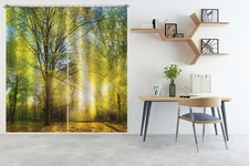 3D Sunshine Branch K2232 Window Photo Curtain Printing Fabric Panda 2023