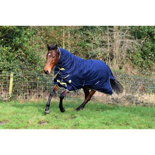 Asker 0g Horse Combo Neck Turnout Rug - Navy Blue - Picture 2 of 2
