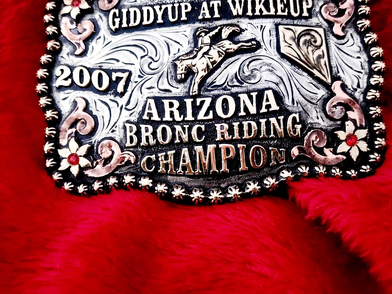 CHAMPION TROPHY BUCKLE PRO RODEO☆BRONC RIDER☆WICKIEUP☆2007☆RARE☆138