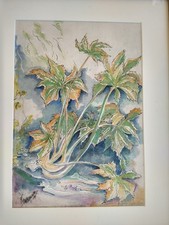 Carlos Enrique Watercolor With COA