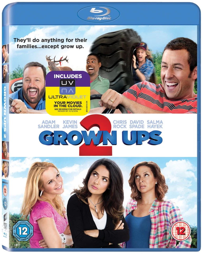 Grown Ups 2 (Blu-ray) Nick Swardson Steve Buscemi Colin Quinn Steve Austin - Image 2 of 2