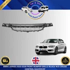 BMW 1 SERIES 2015 – 2019 FRONT BUMPER GRILLE CENTRE SECTION NOT M SPORT MODEL