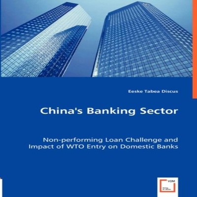 China's Banking Sector Eeske Tabea Discus Paperback KS OmniScript