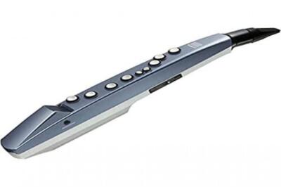 ROLAND Aerophone mini AE-01 Digital Wind Instrument 100% Genuine