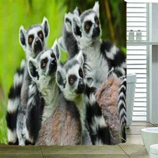 Cute Ring-Tailed Lemurs 3D Shower Curtain Waterproof Fabric Bathroom Decoration