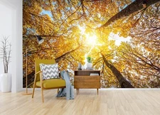3D Sunlight Leaves ZHUA799 Wallpaper Wall Murals Removable Self-adhesive Ann