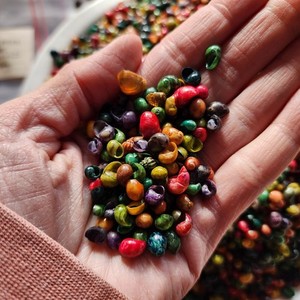 Tiny Dyed Shells Craft Supply Assorted Colors 100g Bag 6–9mm