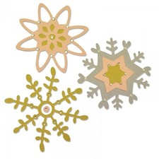 Sizzix Thinlits Die Set 660879 Delicate Fall by Craft Asylum