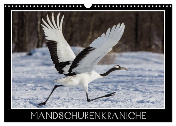 "Calendar 2027 · US Version · Manchurian Cranes (Wall Calendar 2027 17\" × 12\" Lan"-image