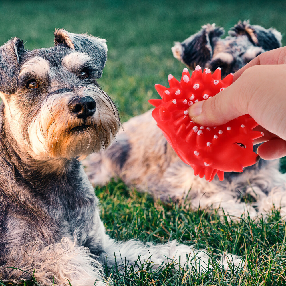  4 Pcs Yoyo Accessories Pet Companion Toy Entertainment Chew