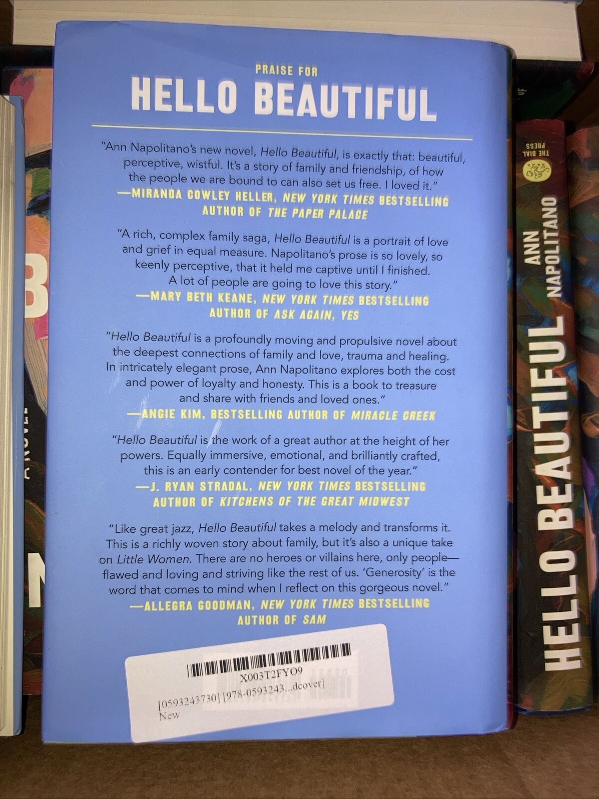 Hello Beautiful (Oprah's Book Club): A Novel