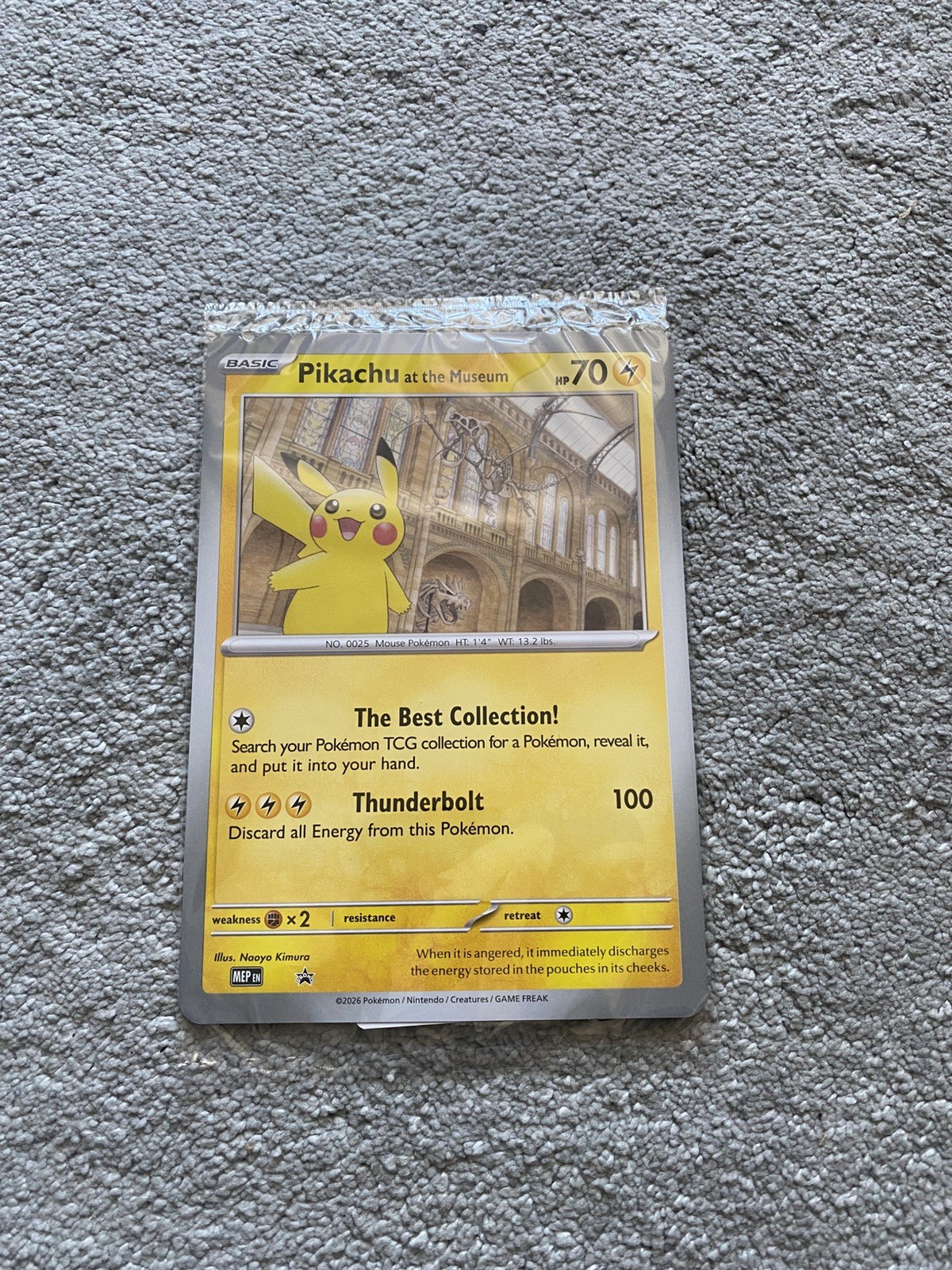 Pikachu At The Museum Pokemon PROMO Card SEALED 