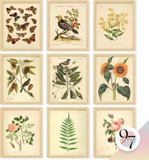 Vintage Botanical Wall Art Decor Plant Posters For Room Aesthetic Vintage