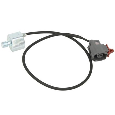Klopfsensor DELPHI AS10253