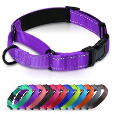 Padded Martingale Collar for Large Dogs, Quick Release Buckle Purple