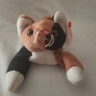 Foto 6 di 9