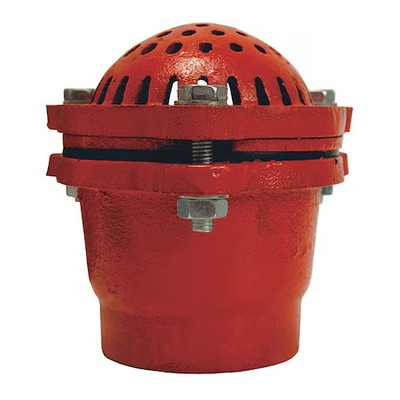 Dixon Dfvs60 6'' Threaded Cast Iron Foot Valve