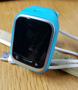 ebay gizmo gadget band