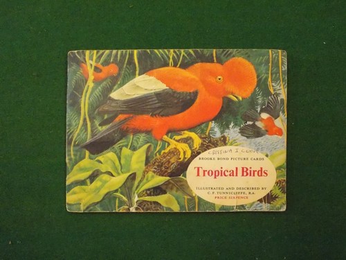 Brooke Bond Tea Cards Tropical Birds 1961 Complete Set in Album - Picture 1 of 3
