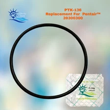39300300  Pump Lid O-Ring From POOLTEK USA PTK-136 For Pentair Americana  