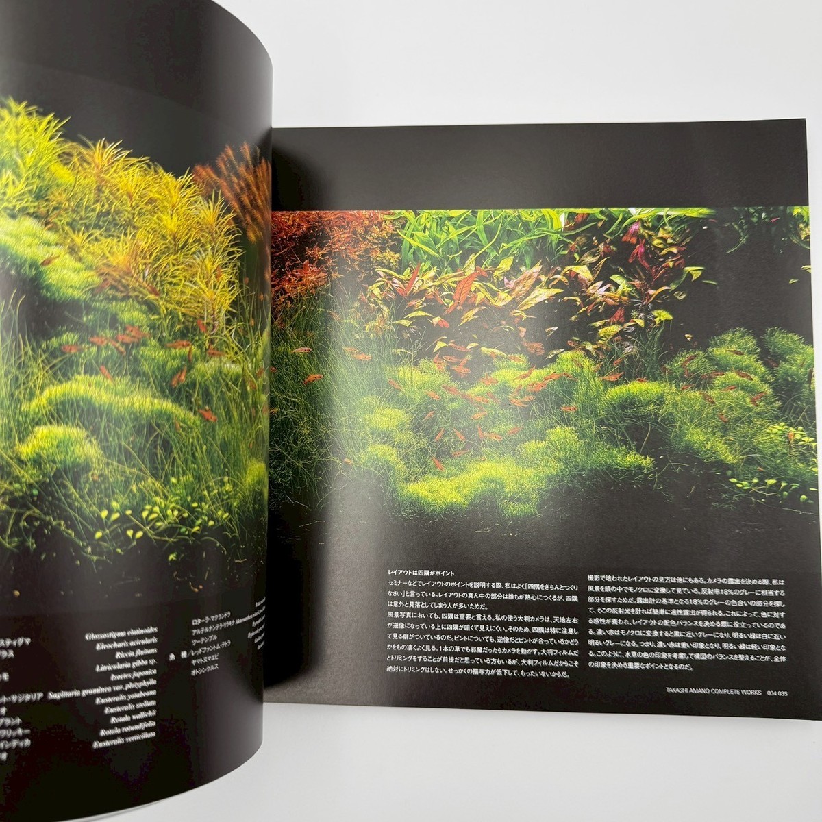 Nature Aquarium Complete Works 1985-2009 Takashi Amano Aquascape