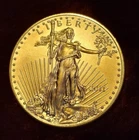 2011 1 oz American Gold Eagle BU $50 Walking Liberty coin