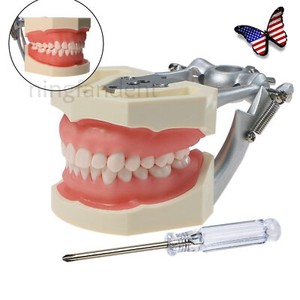 Nissin Dental | eBay