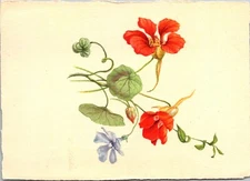 Vintage Postcard Group Of Flowers Edition Stehli Switzerland # 2702