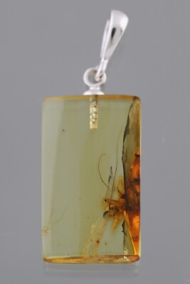 Fossil Insect CRICKET Genuine BALTIC AMBER Silver Pendant 1.2g 250522-10