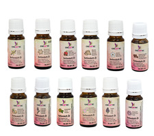 CREARTEC Seifenduftöl Jahreszeiten Set - Öl zur Seifenherstellung - 12 Flaschen