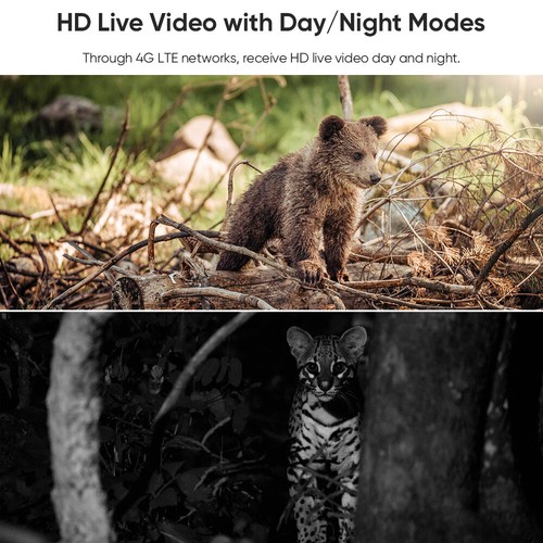 4G LTE Cellular Solar Security Camera PTZ Wild Trail Hunting Forest Animal Farm - Picture 3 of 15