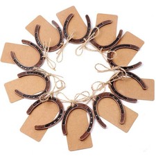 OurWarm 10pcs Good Lucky Horseshoe Wedding 10 Count Pack of 1 , Bronze