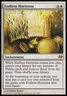 Endless Horizons - Light Play MTG Eventide