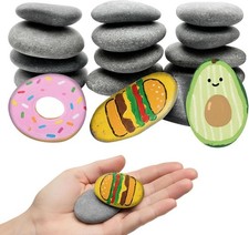 16PCS Rocks for Painting, 2-3 Inches Natural Smooth River Rocks for Painting,