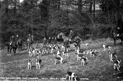 syy-50 Sozialgeschichte, Jagd, Die Badminton Fox Hounds. Foto