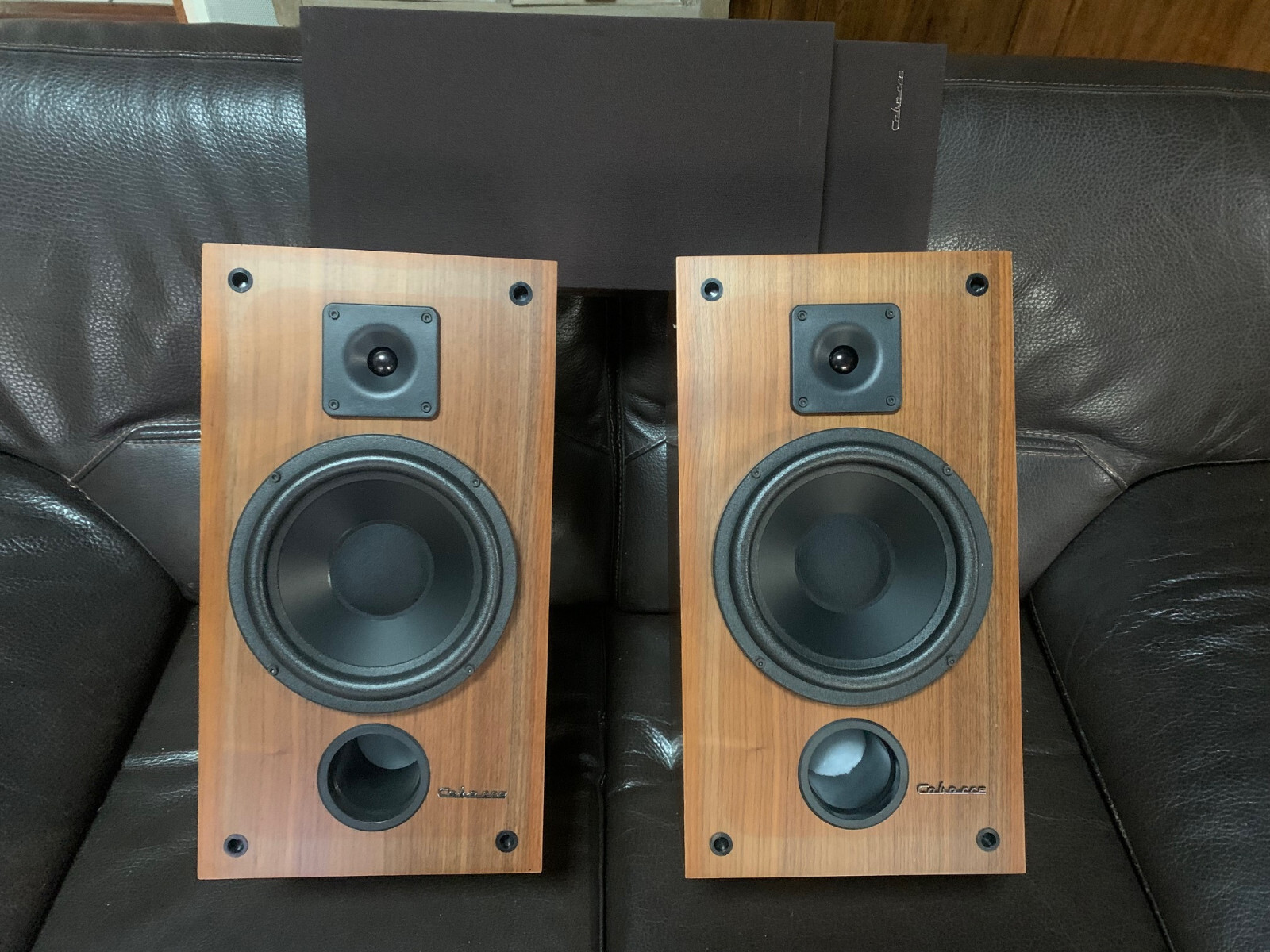 Enceintes hifi occasion denon sc-n9 à Fontaines Sur Saône | Clasf image-video