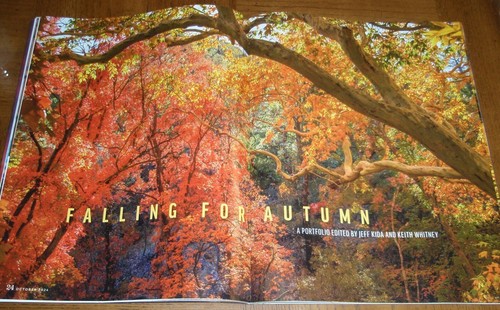 ARIZONA HIGHWAYS OCTOBER 2024 BRAND NEW-FALL ISSUE-AZ'S NEWEST NATIONAL MONUMENT - Picture 10 of 15