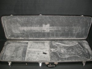 epiphone firebird hard case