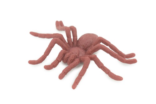 Spinnenspielzeug Gummispinne, braun, realistisches handbemaltes Modell, Geschenk, 2" US17 B44 - Bild 1 von 9
