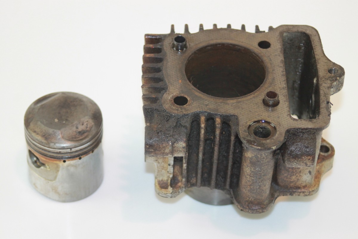 ラファエロの天使メダイゴールドコインアンクレットネックレス