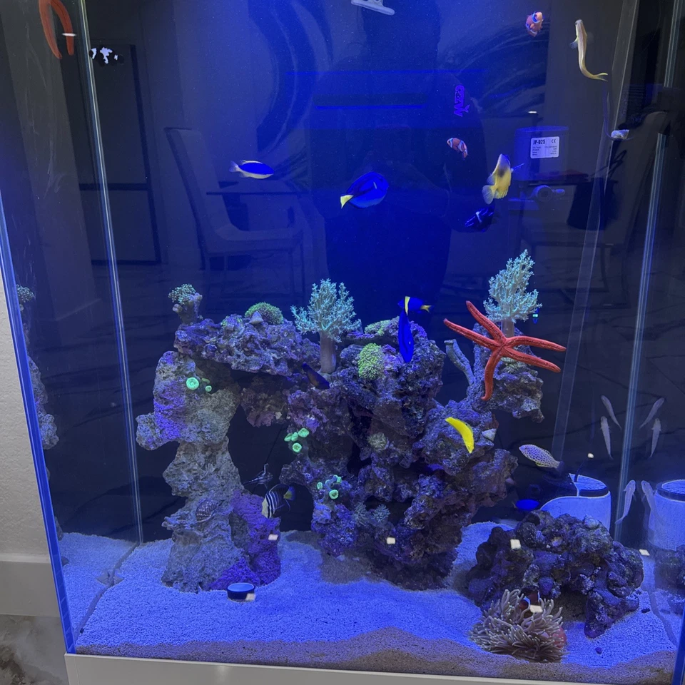 Fish Tank Salt Water - Image 3 of 4