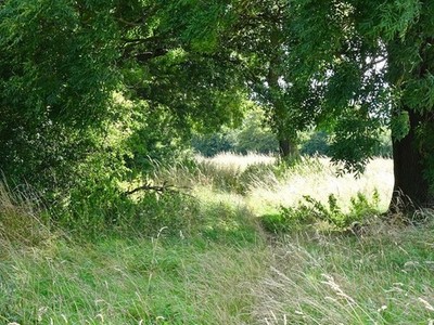Foto 6x4 alter Spurrest Morley\/SK3940 alte Karten zeigen eine Spur oder Spur H c2017