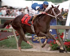 Smarty Jones 2004 Preakness Stakes Finish Photo 8" x 10 - 24" x 30"