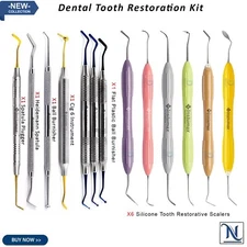 Complete Dental Restorative Kit - CIG-6, Heideman, Ball Burnisher Spatula Scaler