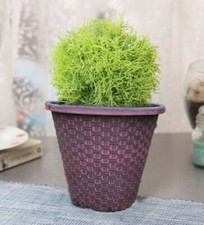 2 x Large Plant Pots Garden Flower Herbs Planter Pot Indoor Outdoor Wicker Red