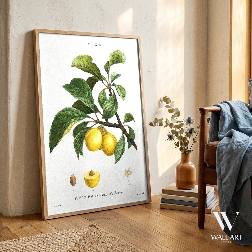 Yellow Plum Botanical Poster | Vintage Fruit Wall Art | Kitchen Decor ...