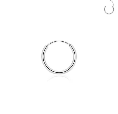 Minimalist 12mm 16 Gauge Hoop Earrings G23 Titanium, everyday wear Gold & Silver