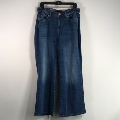 J. Jill Flare Curvy High Rise Jean, Women's Size 16 Petite - Hudson Blue Wash