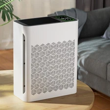 Air Purifier For Home Large Room H13 True HEPA Air Cleaner Allergies Smoke Pet