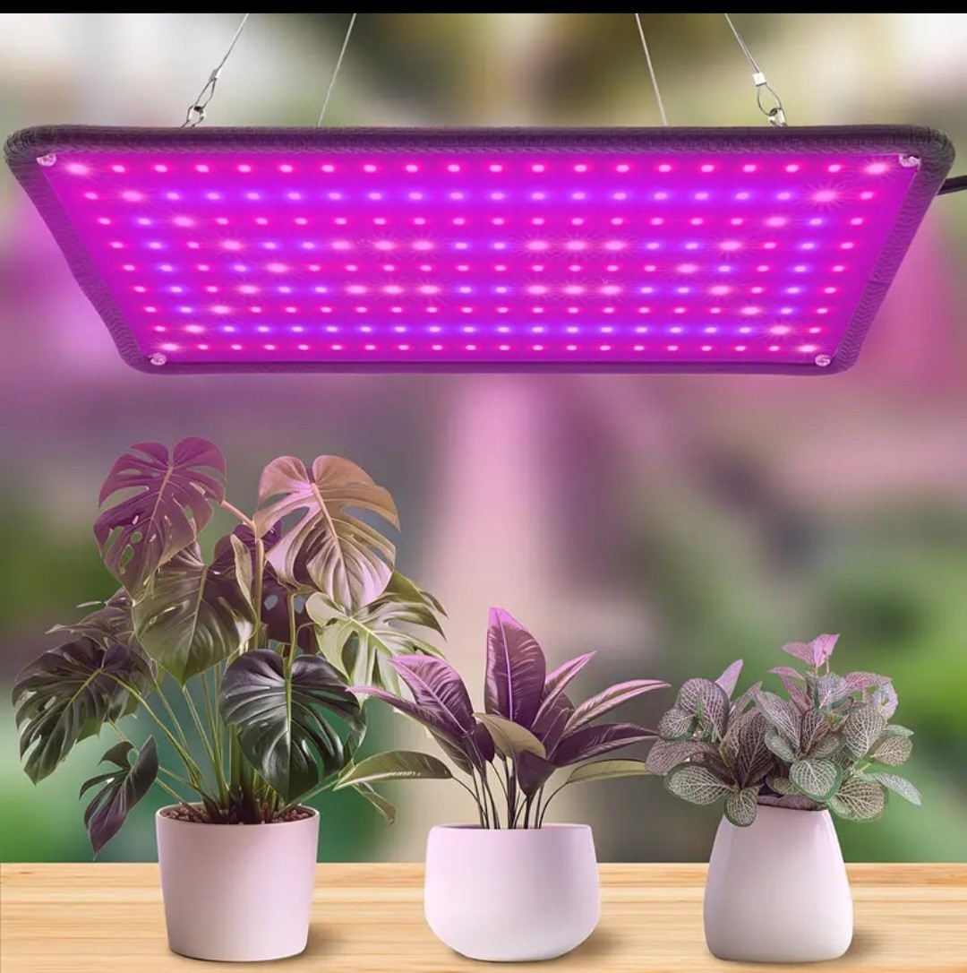 Led
